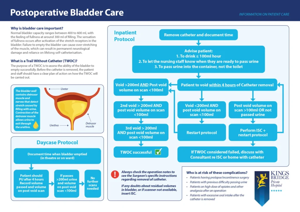 a3 poster (bladder care)