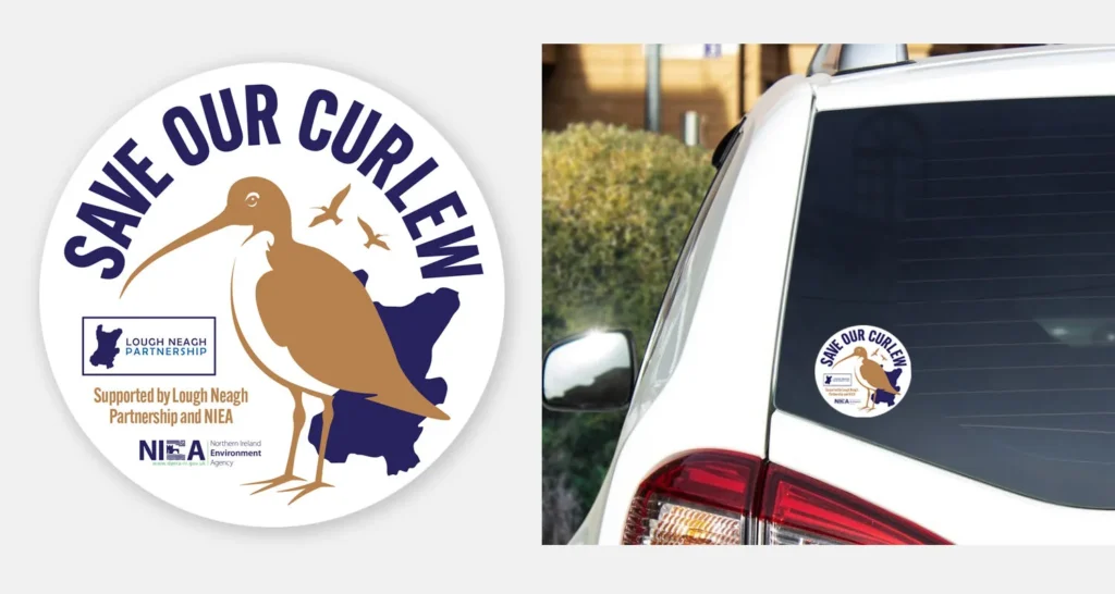 car sticker