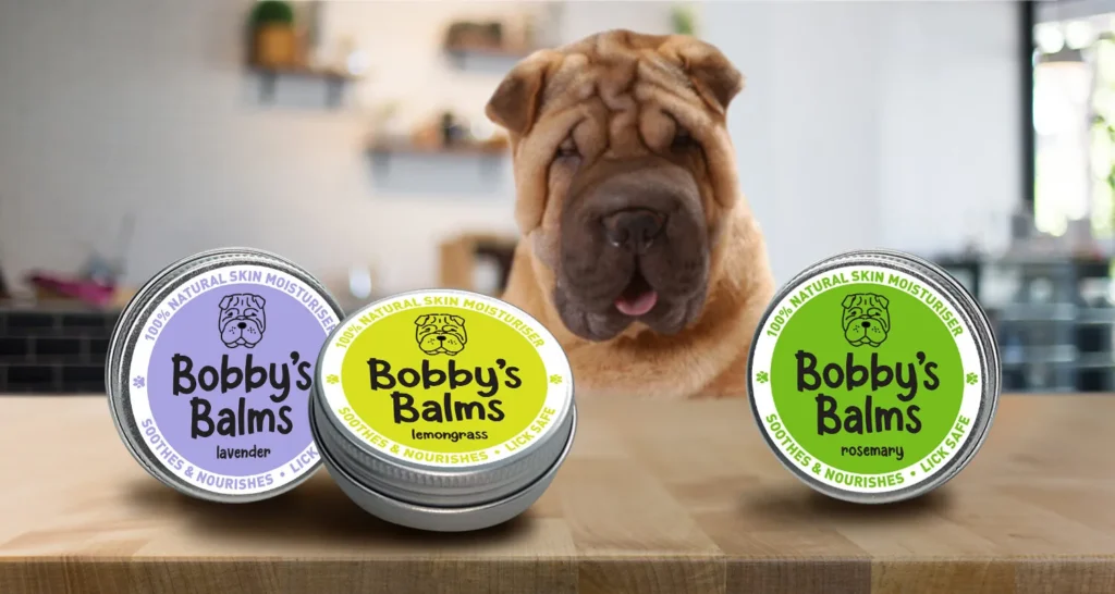 dog packaging belfast ireland